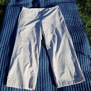 J Jill Live in Chino Light Khaki sz 20W Pants